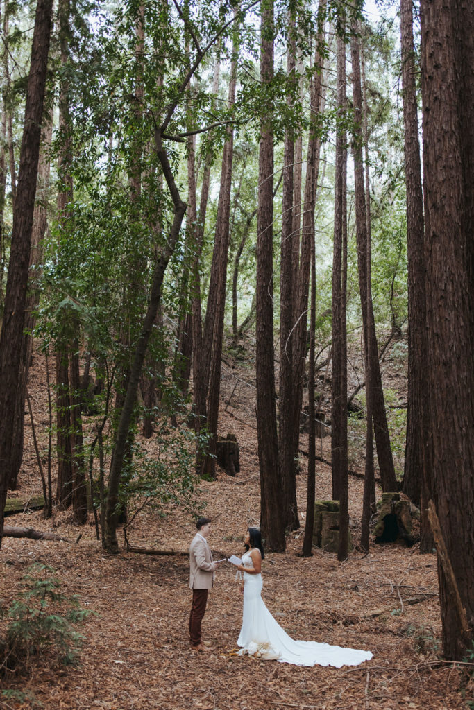 bride and groom exchanging vows in redwood forest