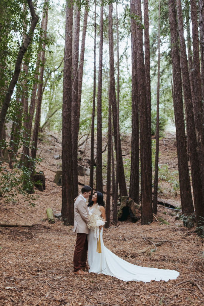 bride and groom portraits in redwood forest
