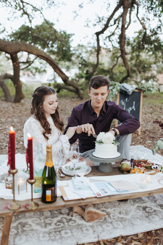 bride and groom at mobile alabama elopement picnic