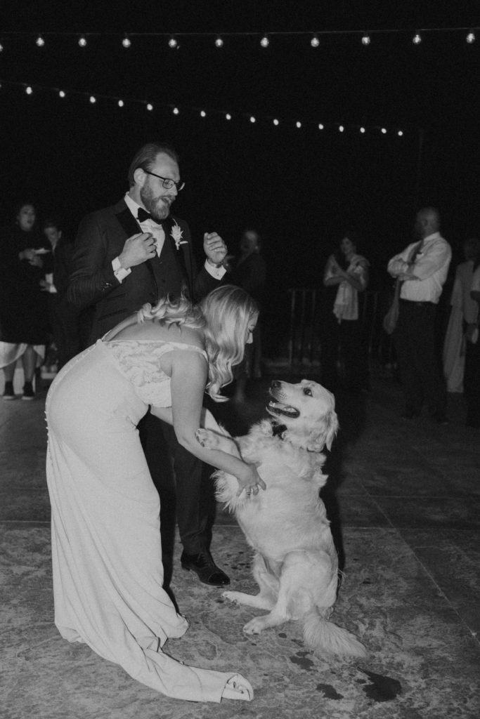 bride and groom playing with dog at wedding reception