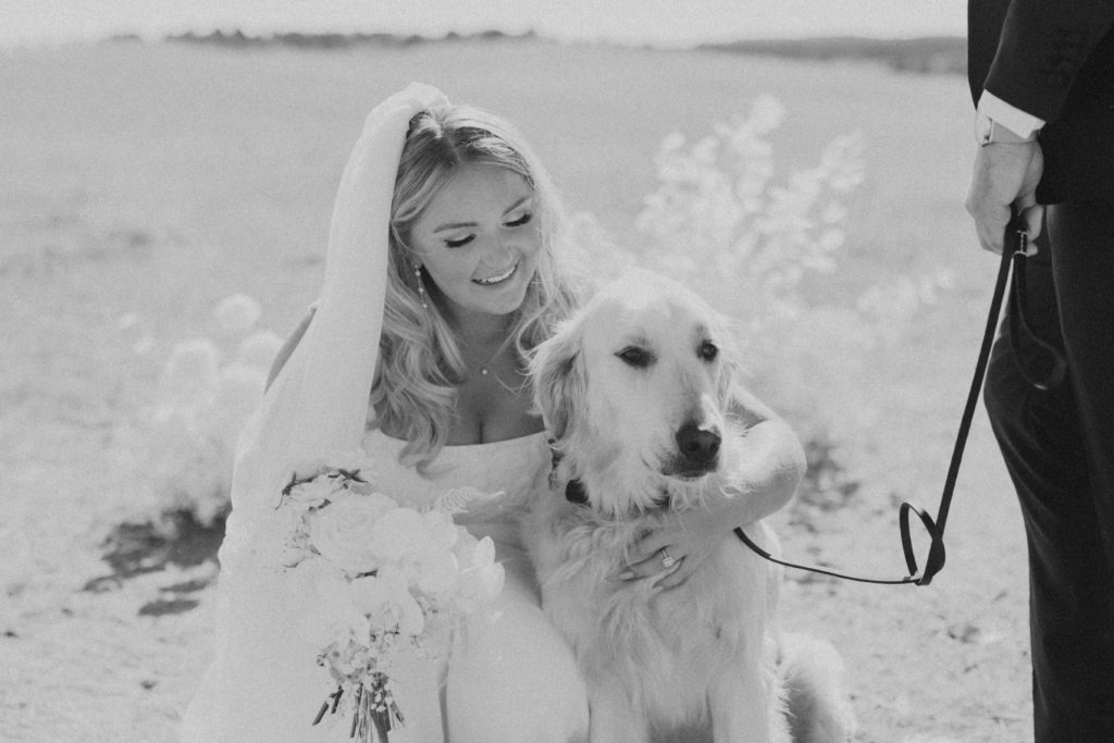 bride with dog in utah wedding