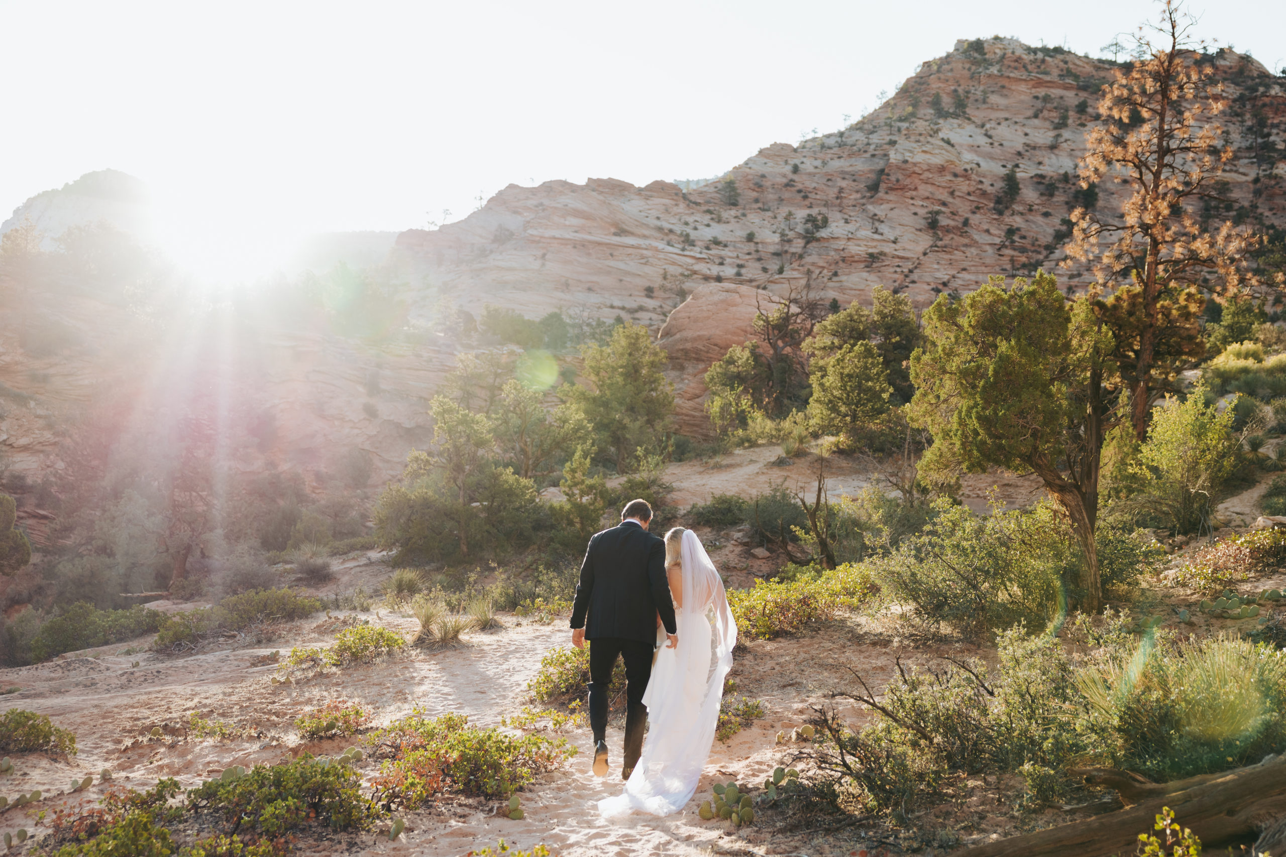 bride and groom walking in zion national park