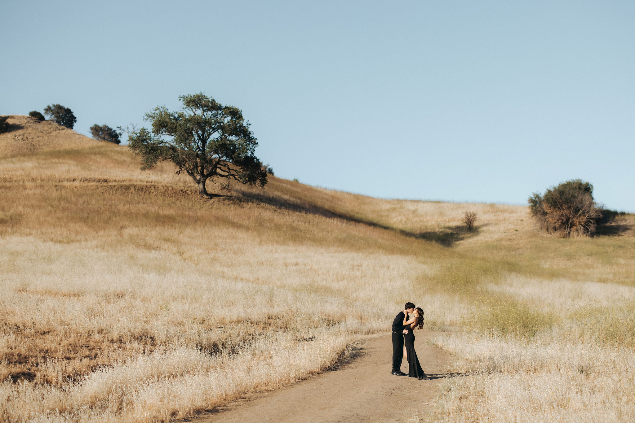 couple holding kissing on a grassy hill