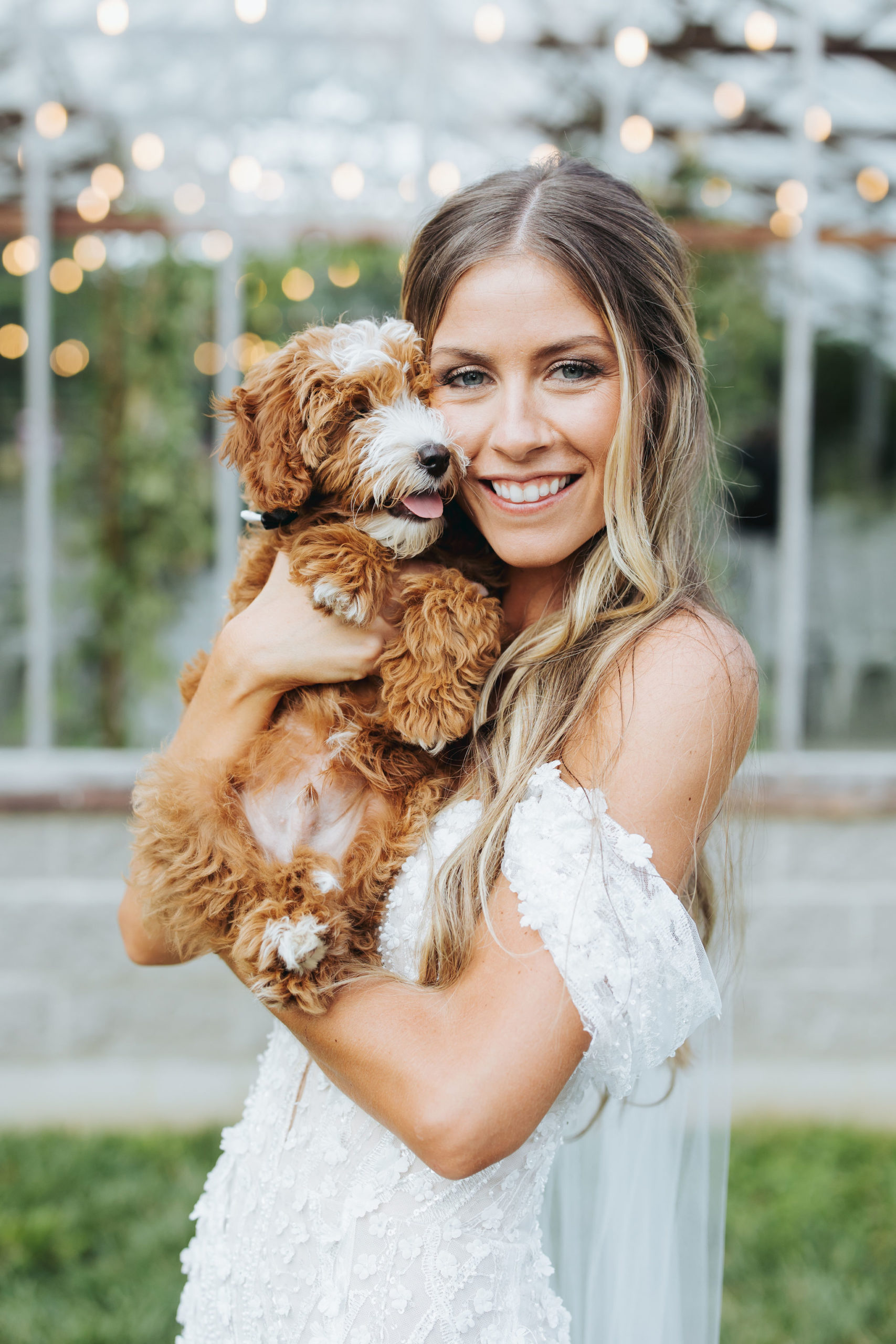 bride holding puppy