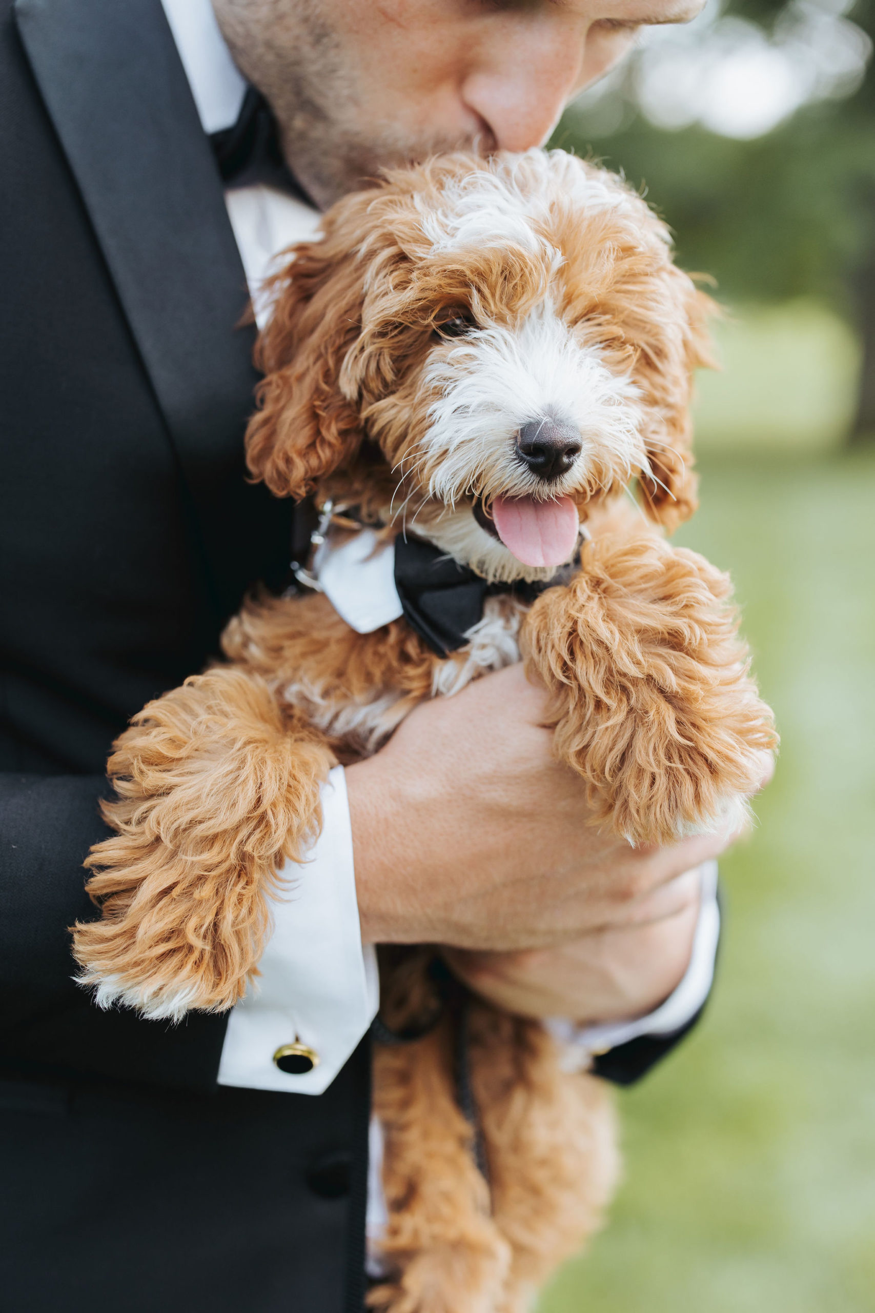 groom holding puppy