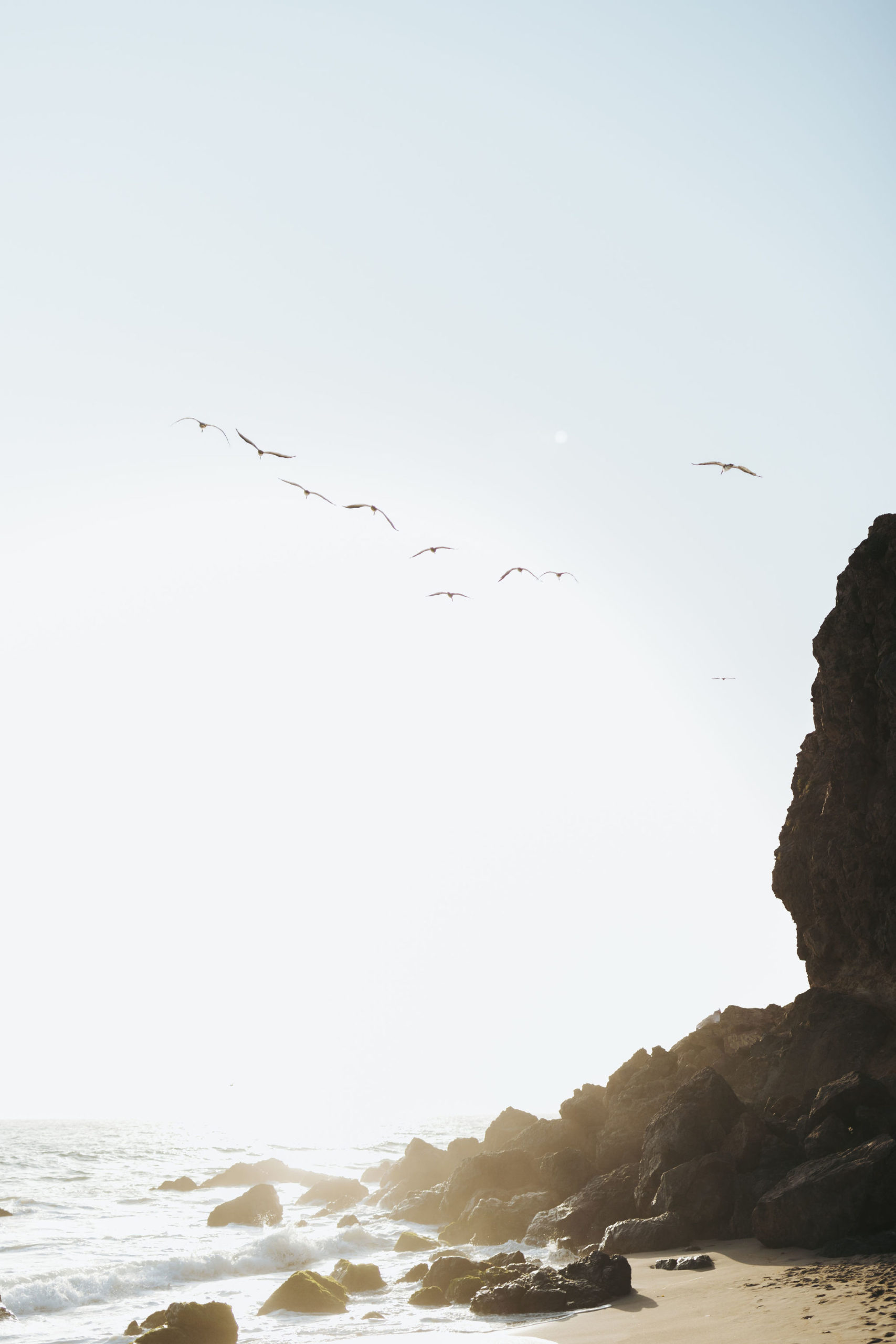 birds flying over rocky beach cliff