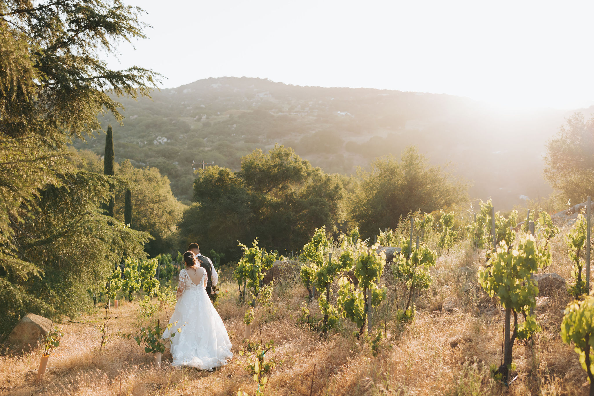 bride and groom walking in Temecula california vineyard after wedding ceremony