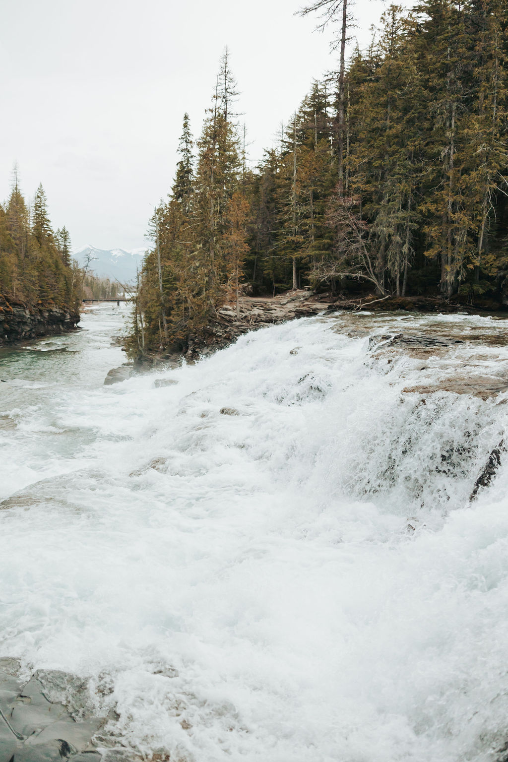 waterfall at glacier national park